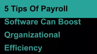 5 Tips Of Payroll Software Can Boost Organizational Efficiency