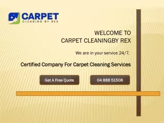 Carpet Cleaning By Rex