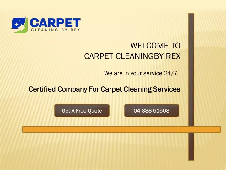 welcome to carpet cleaningby rex
