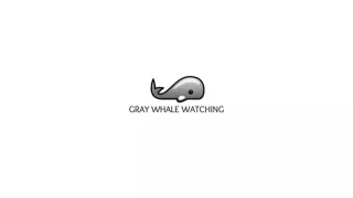 Baja Whale watching camp