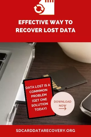 SD Card Data Recovery Is Now a Reality!