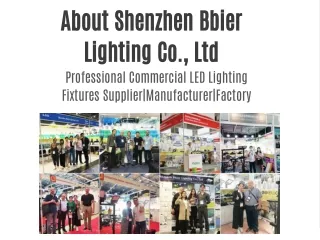 About Shenzhen Bbier Lighting Co., Ltd