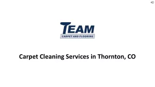 Carpet Cleaning Services in Thornton, CO