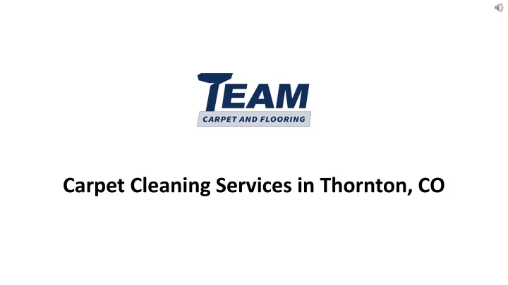 carpet cleaning services in thornton co