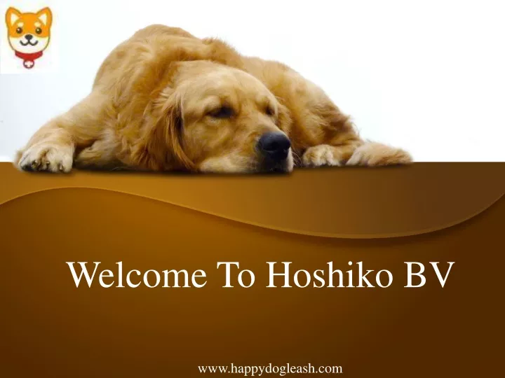 welcome to hoshiko bv