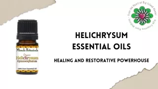 Effective Helichrysum Essential Oils -  Miracle Botanicals