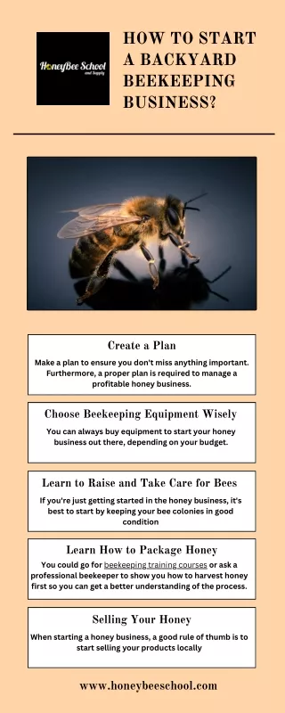 How to Start a Backyard Beekeeping Business?