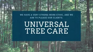 Get the best Emergency tree services in Sydney from Universal Tree Care