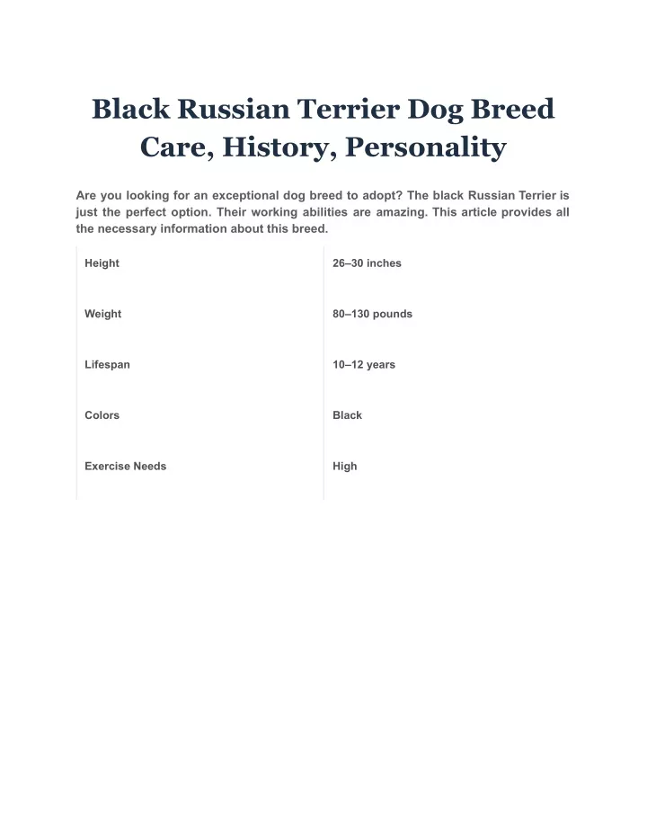 black russian terrier dog breed care history