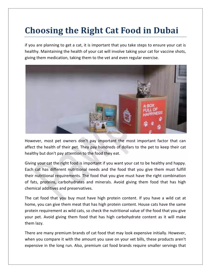 choosing the right cat food in dubai