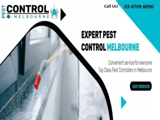 Pest Control 4 Melbourne