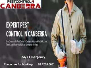 Pest Control 4 Canberra
