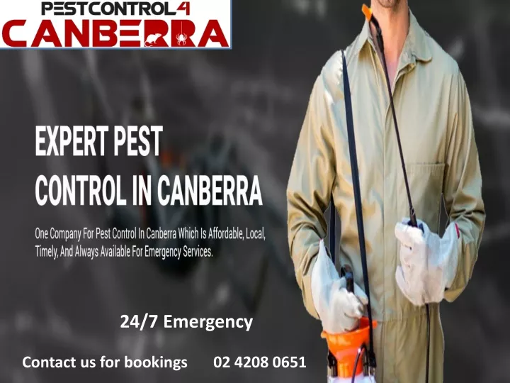 PPT Pest Control 4 Canberra PowerPoint Presentation, free download