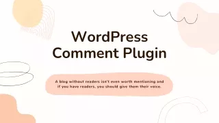 WordPress Comment Plugin