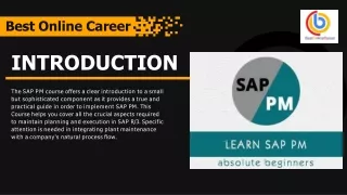 The Best SAP PM Training Course Online