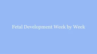 Fetal Development Week by Week