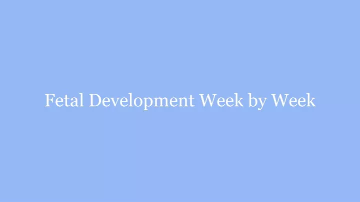 fetal development week by week