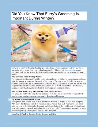 Did You Know That Furry's Grooming Is Important During Winter