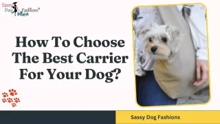 How To Choose The Best Carrier For Your Dog
