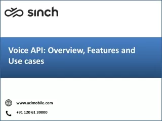 voice api overview features and use cases