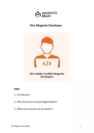 Hire Magento Developer