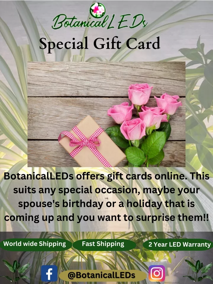 special gift card