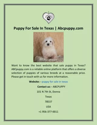 Puppy For Sale In Texas  Abcpuppy