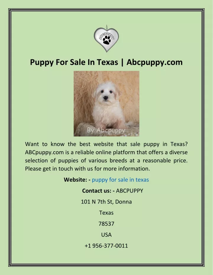 puppy for sale in texas abcpuppy com