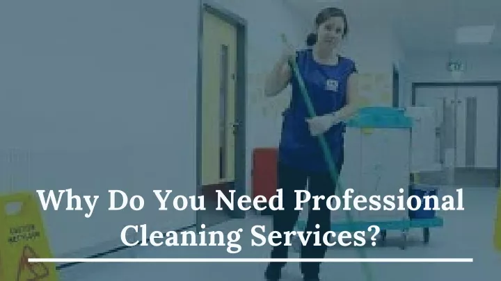 why do you need professional cleaning services