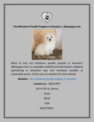 Toy Miniature Poodle Puppies In Houston  Abcpuppy