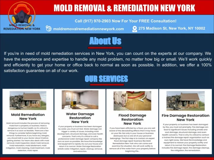 mold removal remediation new york