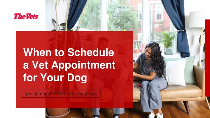 when to schedule a vet appointment for your dog