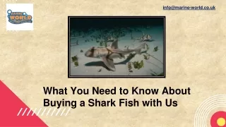 info@marine world co uk
