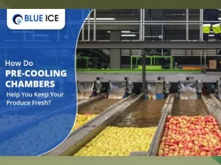 How Do Pre-Cooling Chambers Help You Keep Your Produce Fresh