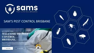 Sams Pest Control Brisbane