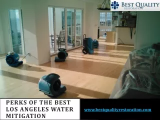 Perks of The Best Los Angeles Water Mitigation