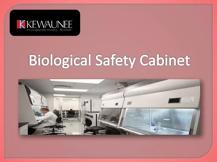 biological safety cabinet