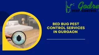 Bed Bug Pest Control Services in  Gurgaon