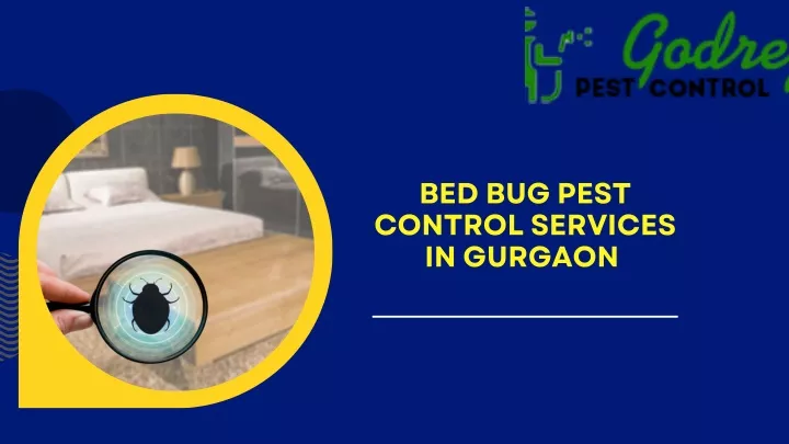 bed bug pest control services in gurgaon