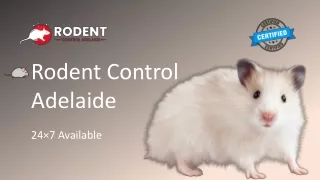 Rodent Control Adelaide