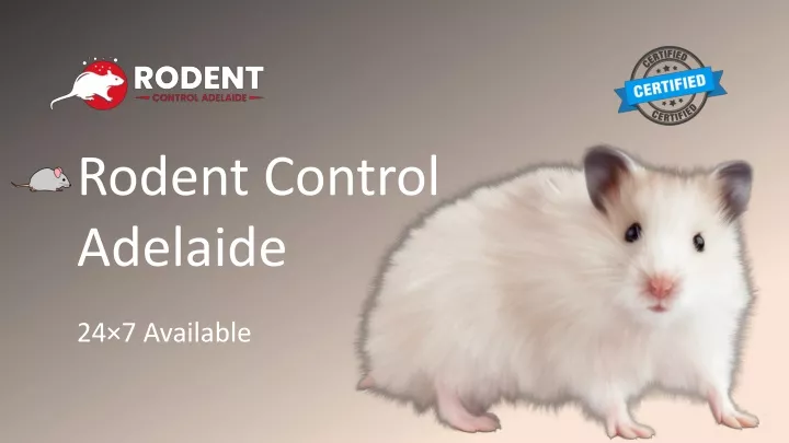 rodent control adelaide