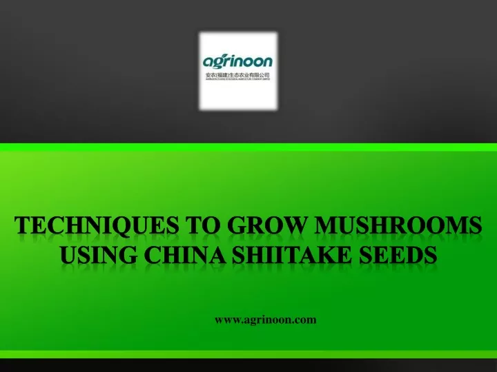 techniques to grow mushrooms using china shiitake