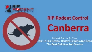 RIP Rodent Control Canberra