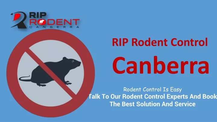 rip rodent control canberra