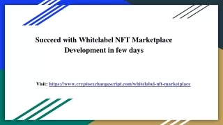 succeed with whitelabel nft marketplace development in few days