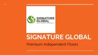 signature global