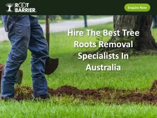 Hire The Best Tree Roots Removal Specialists In Australia