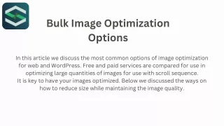 Bulk Image Optimization Options
