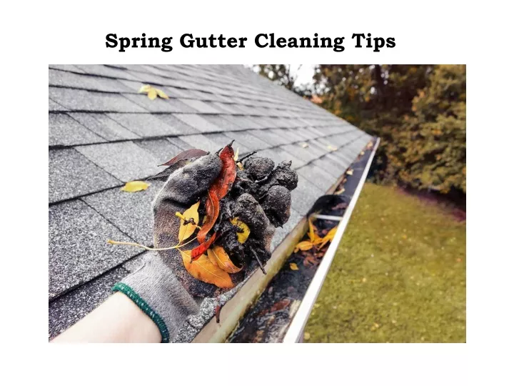 spring gutter cleaning tips
