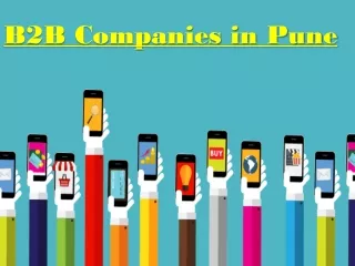 B2B Companies in Pune